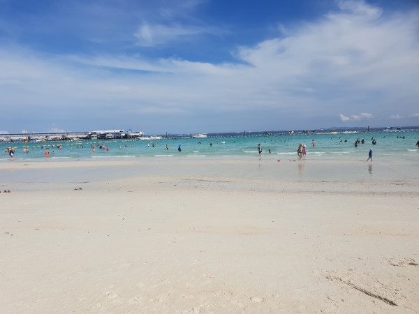 #산호섬에서 놀기