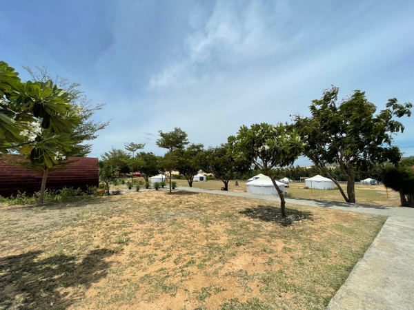 무안출발 오렌지 여행사진