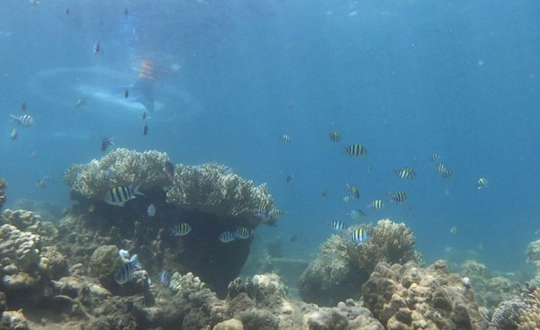 #나트랑에서 호핑투어